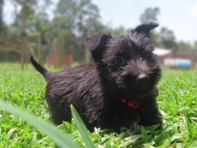Narissa 9wk 6