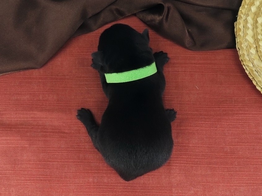 Naveen 1wk 5