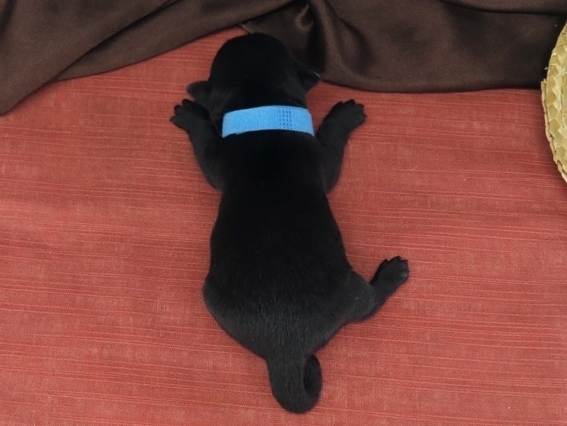 Nessie 1wk 5