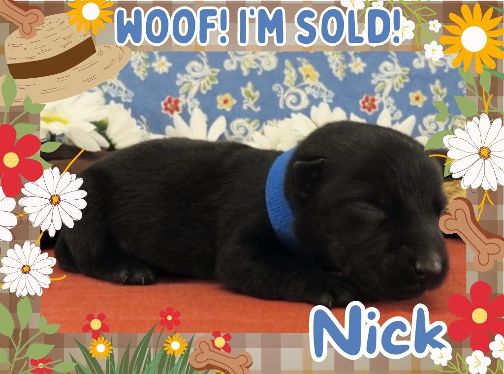 Nick 1wk FT 3