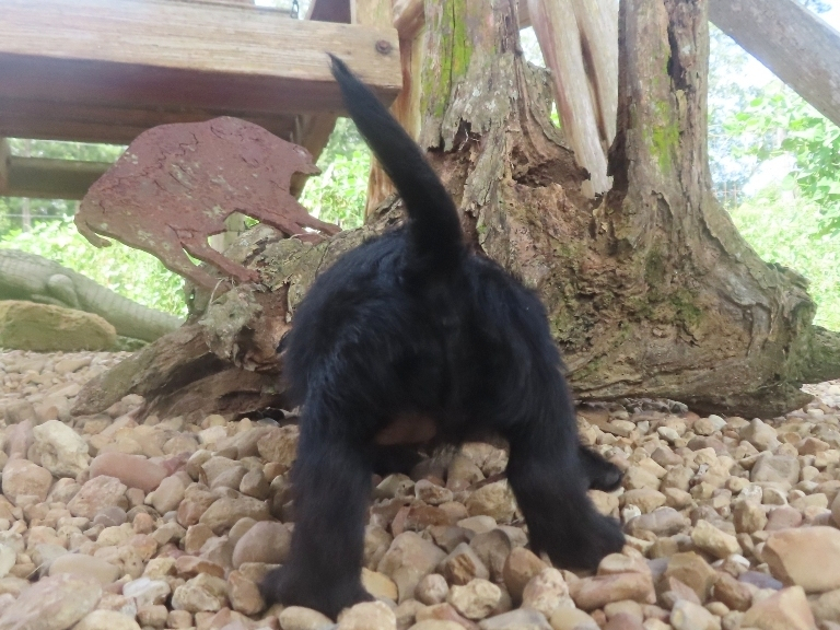Nikki 6wk 5