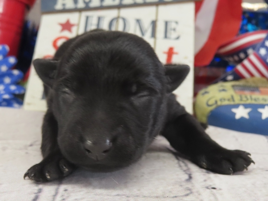 Diego 1wk 1