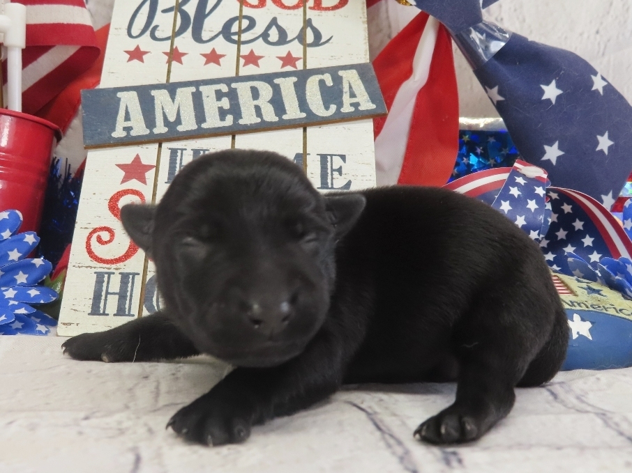 Diego 1wk 2