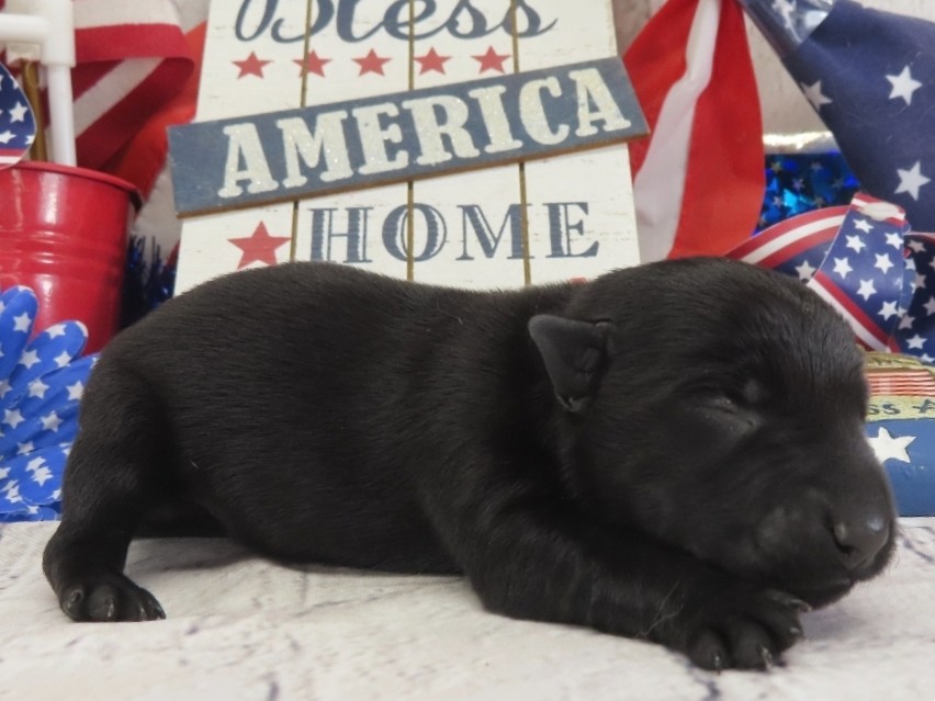 Diego 1wk 3