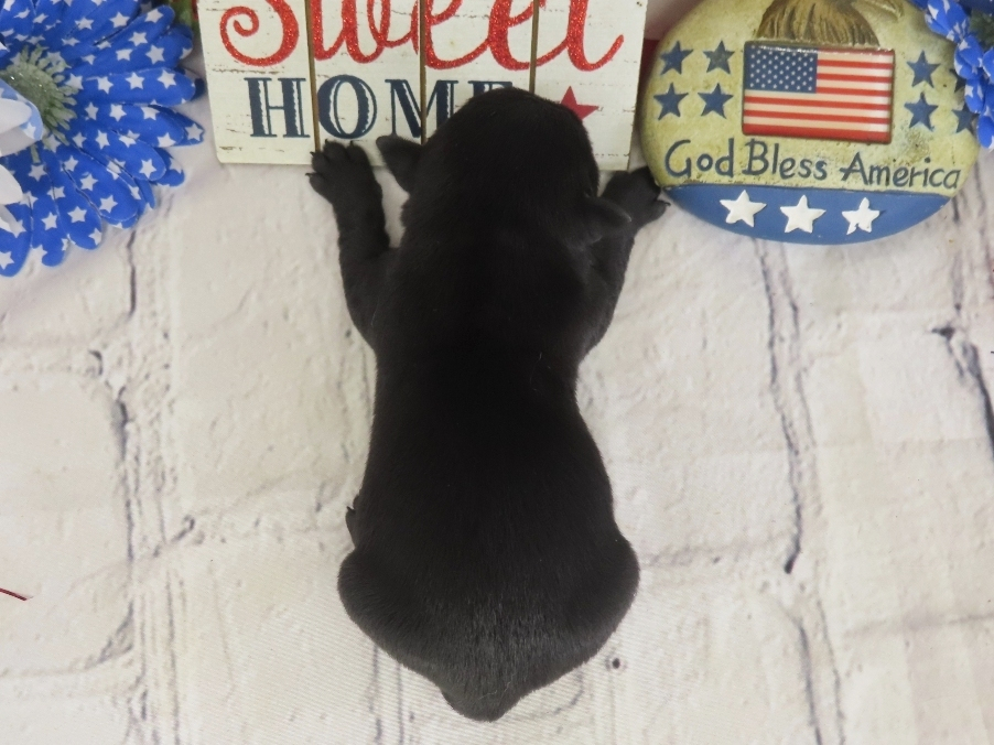 Diego 1wk 5