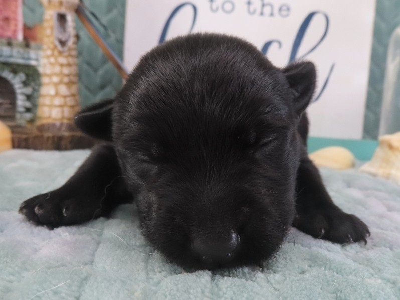 Diego 2wk 1