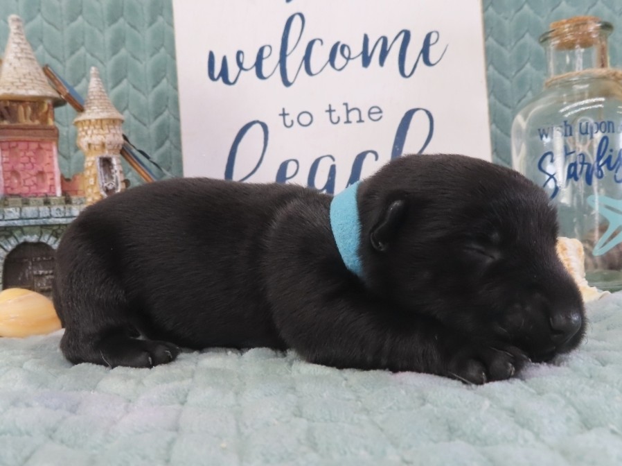 Diego 2wk 4