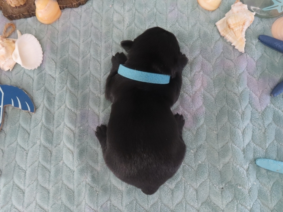 Diego 2wk 5