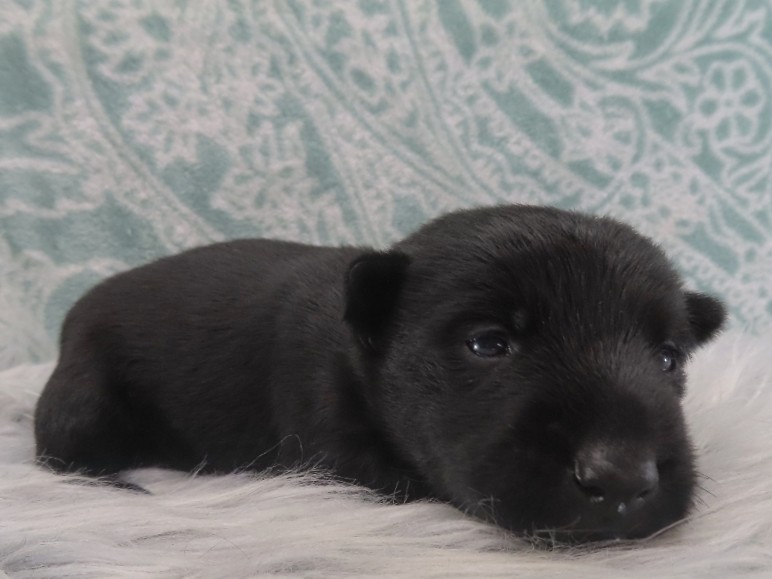 Diego 3wk 2