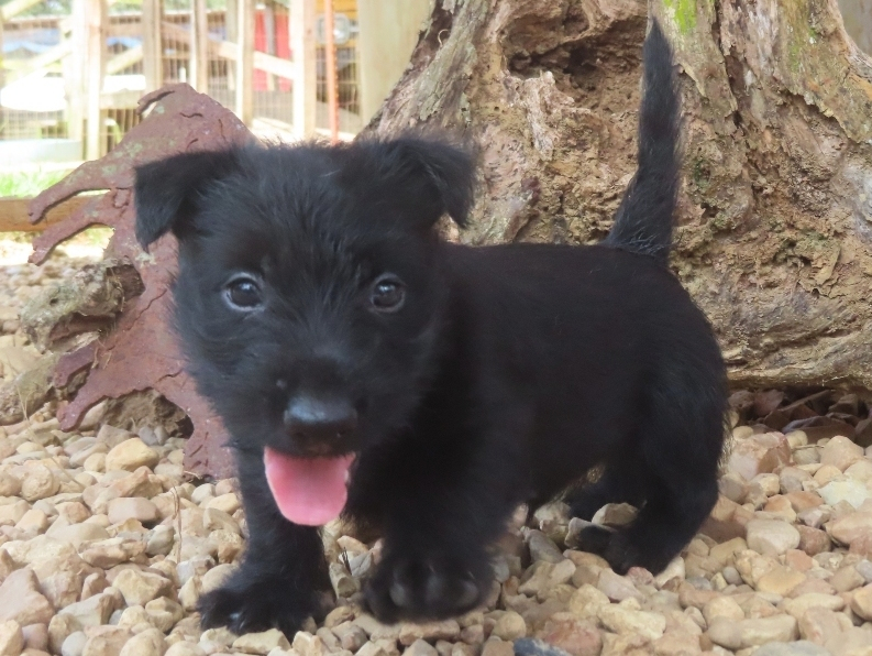 Diego 6wk