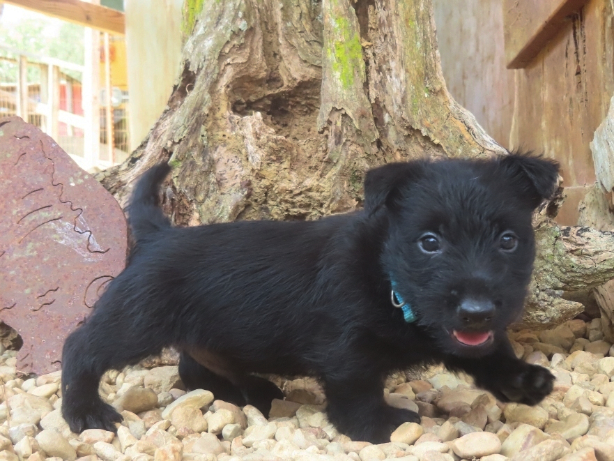Diego 6wk 3
