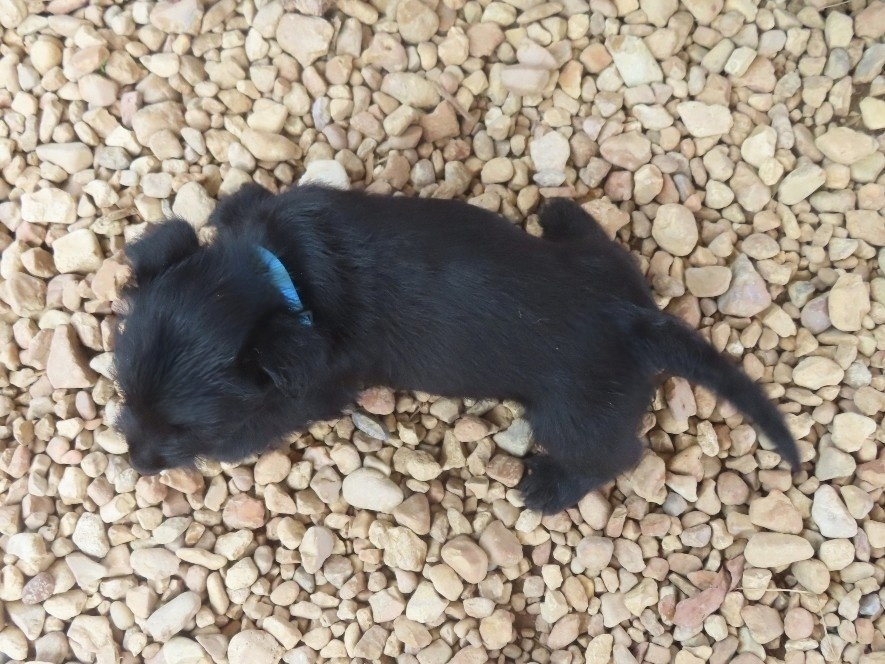 Diego 6wk 5