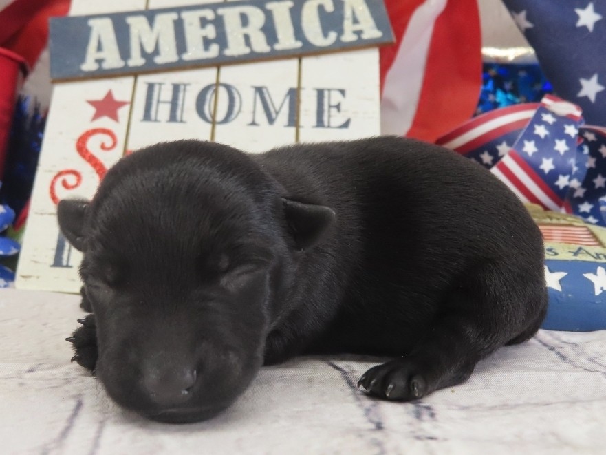 Dora 1wk 2