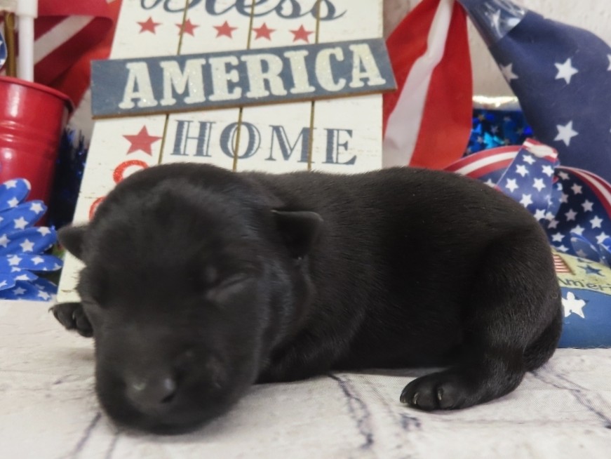 Duckie 1wk 2
