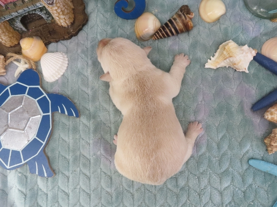 Zack 1wk 4