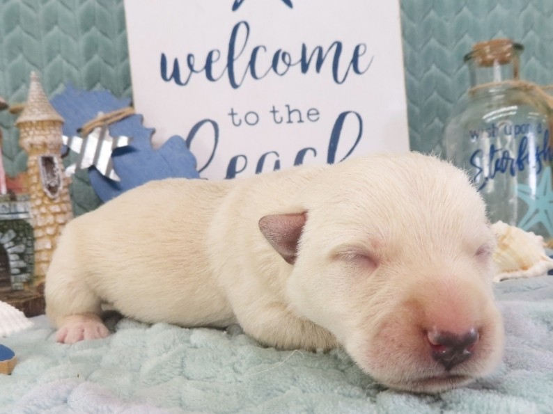 Zack 1wk 5