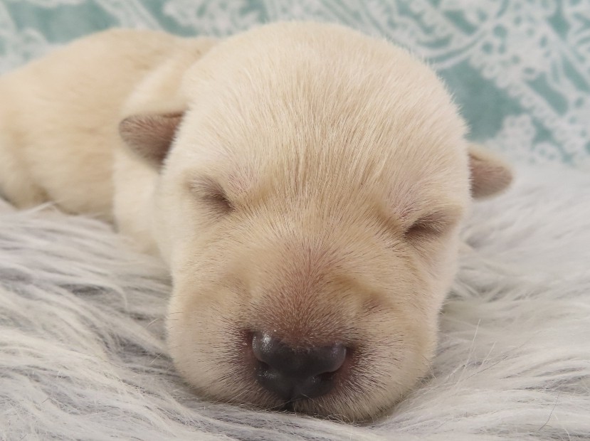 Zack 2wk 1 1