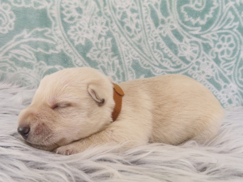 Zack 2wk 4 1