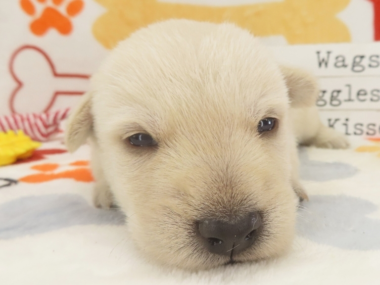 Zack 3wk 1