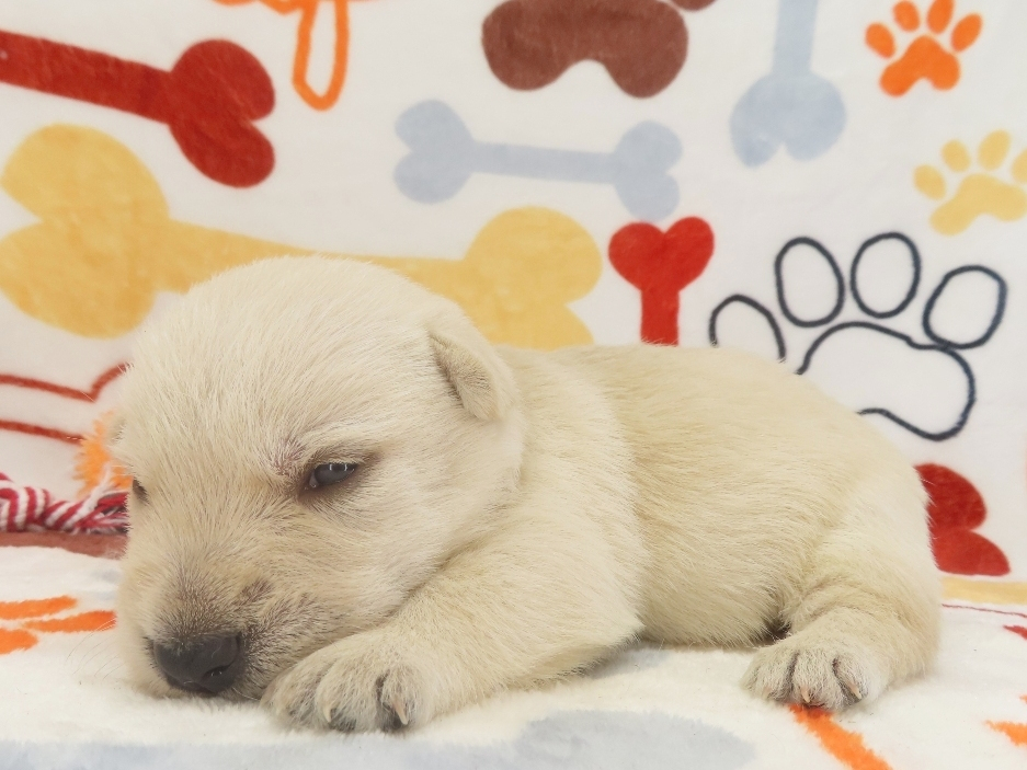Zack 3wk 2