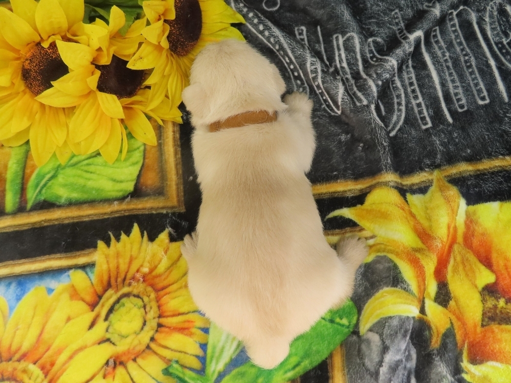Zack 4wk 5