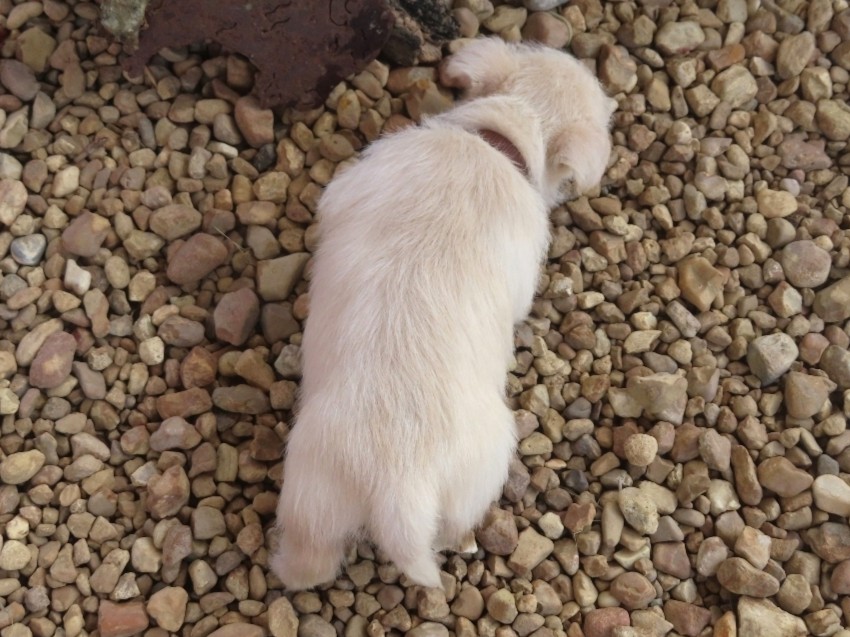 Zack 6wk