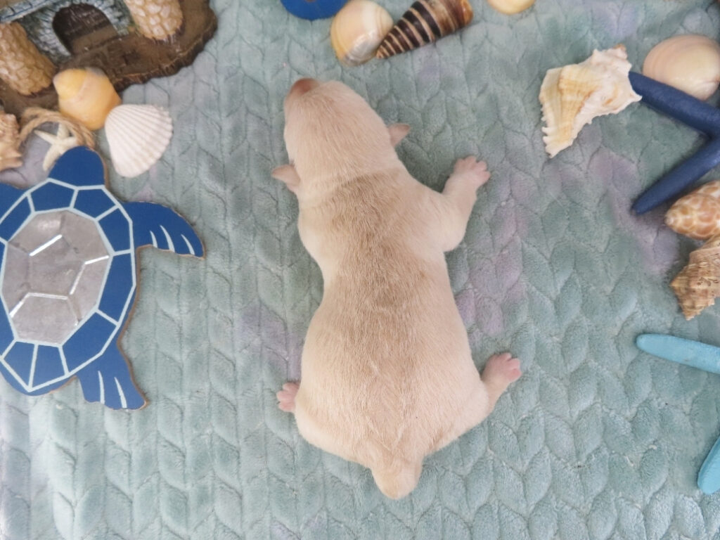 Zeke 1wk 2