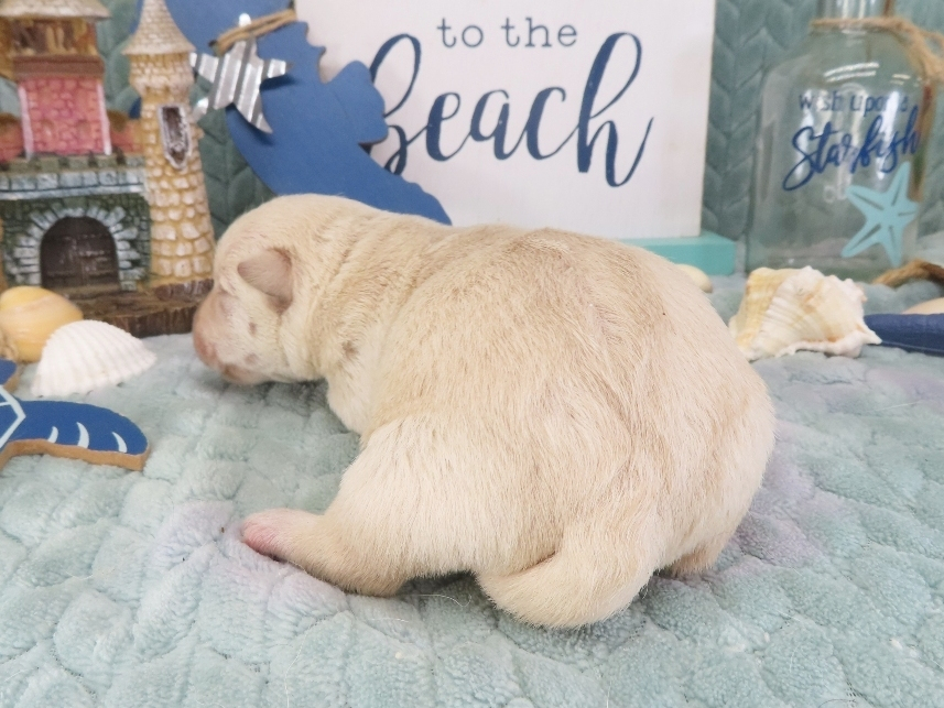 Zeke 1wk 3
