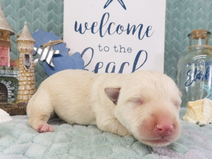 Zeke 1wk 4