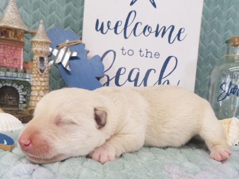 Zeke 1wk 5