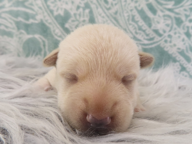 Zeke 2wk 1