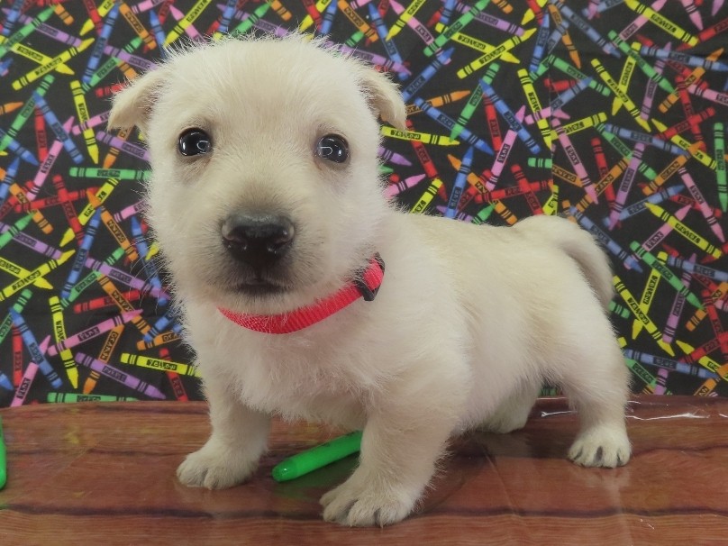 Zeke 5wk 3