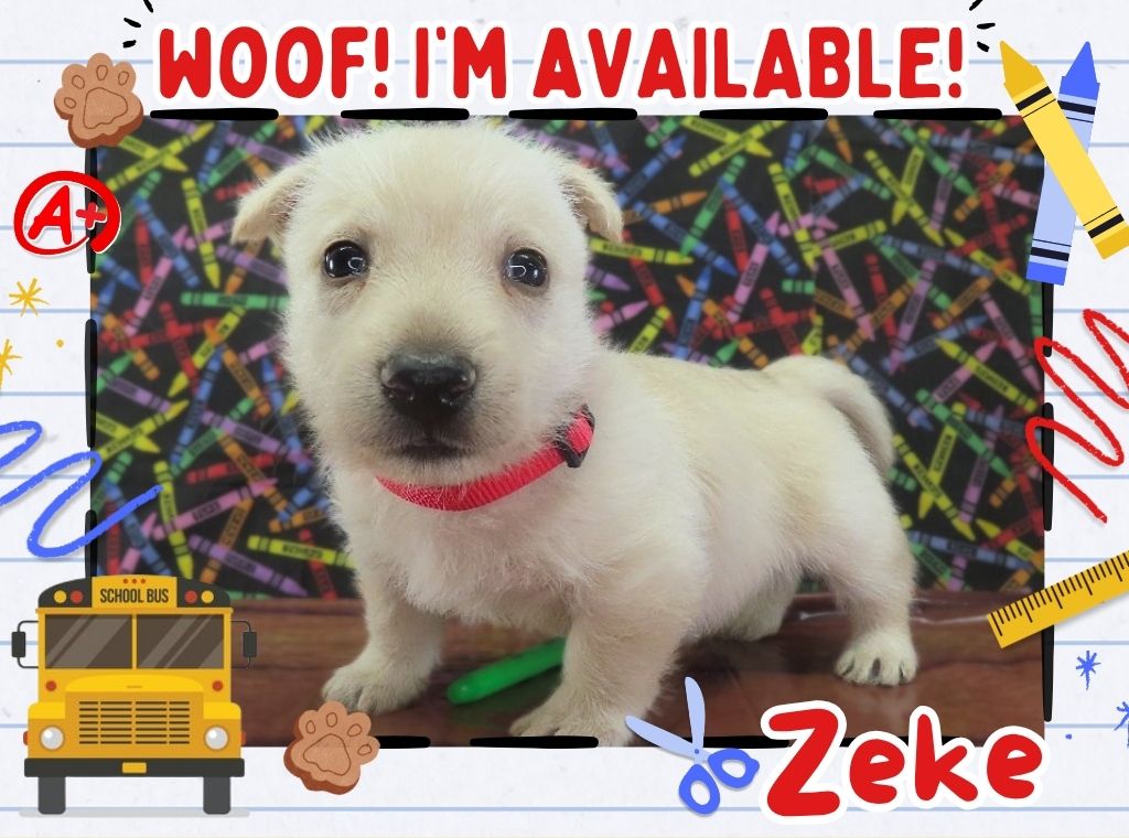 Zeke 5wk FT
