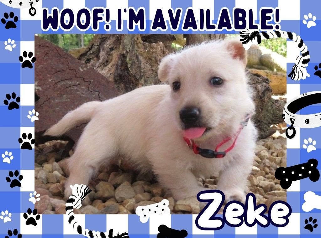 Zeke 6wk FT