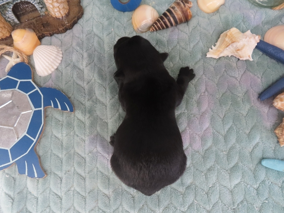 Zeus 1wk 5
