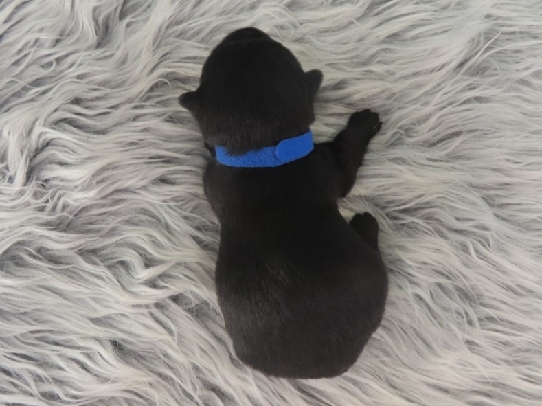 Zeus 2wk 5