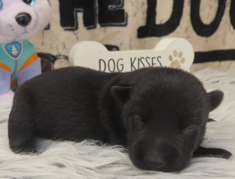 Patsy 1wk 3