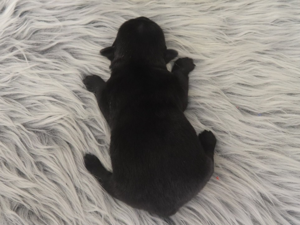 Patsy 1wk 5
