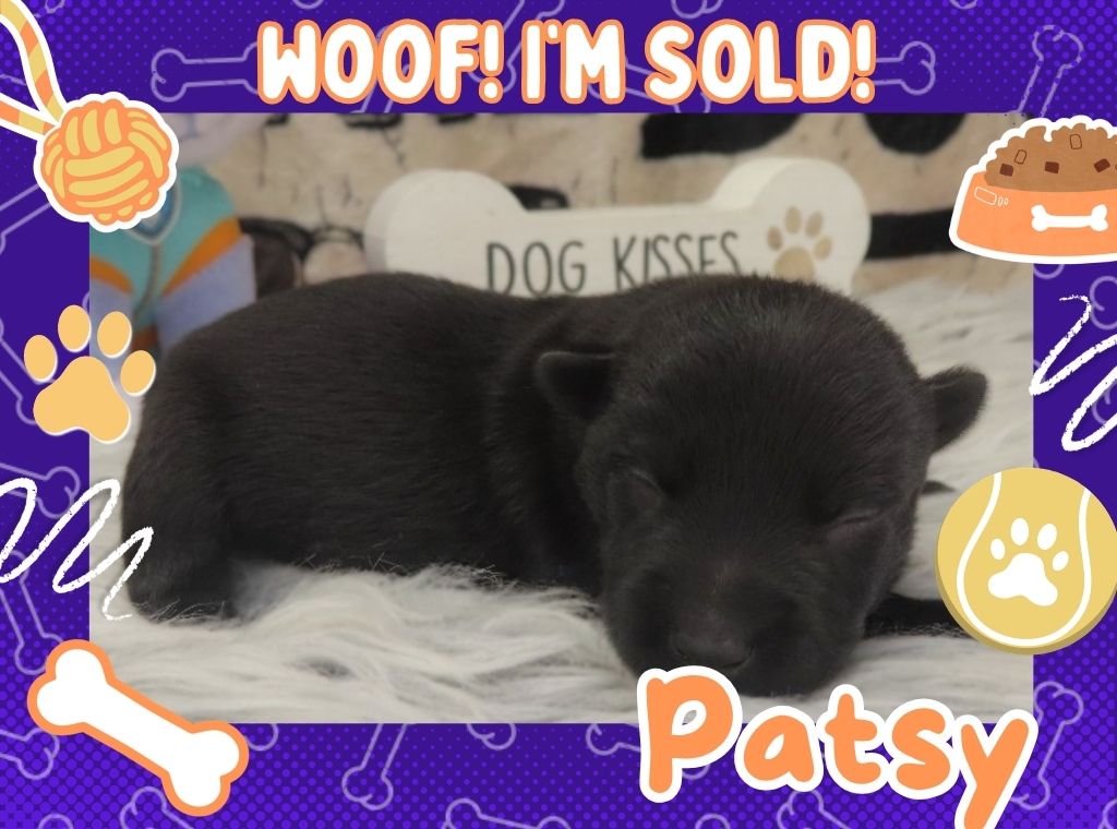 Patsy 1wk ft 3