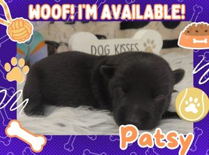 Home 9 Patsy 1wk ft