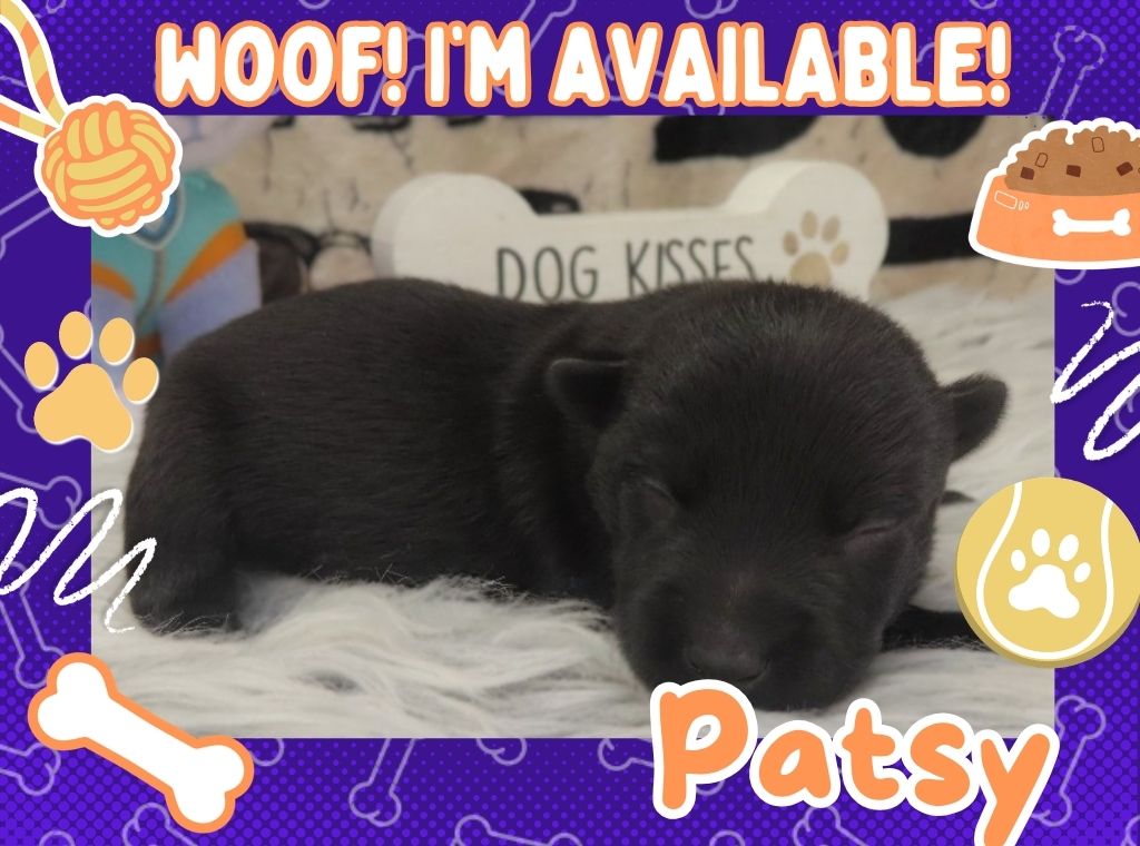 Patsy 1wk ft