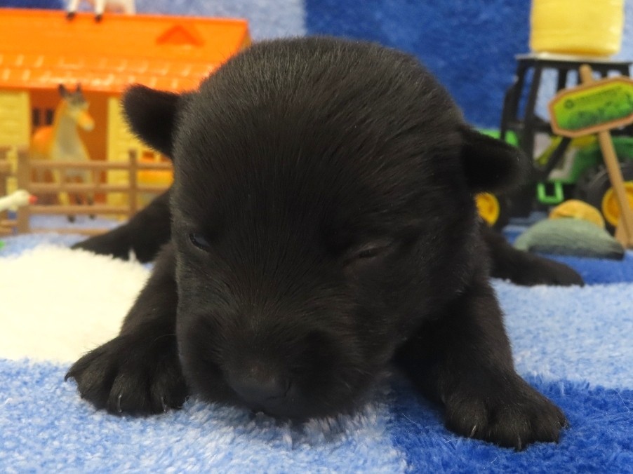 Patsy 2wk 1