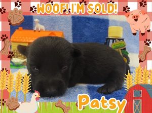 Home 9 Patsy 2wk ft 3