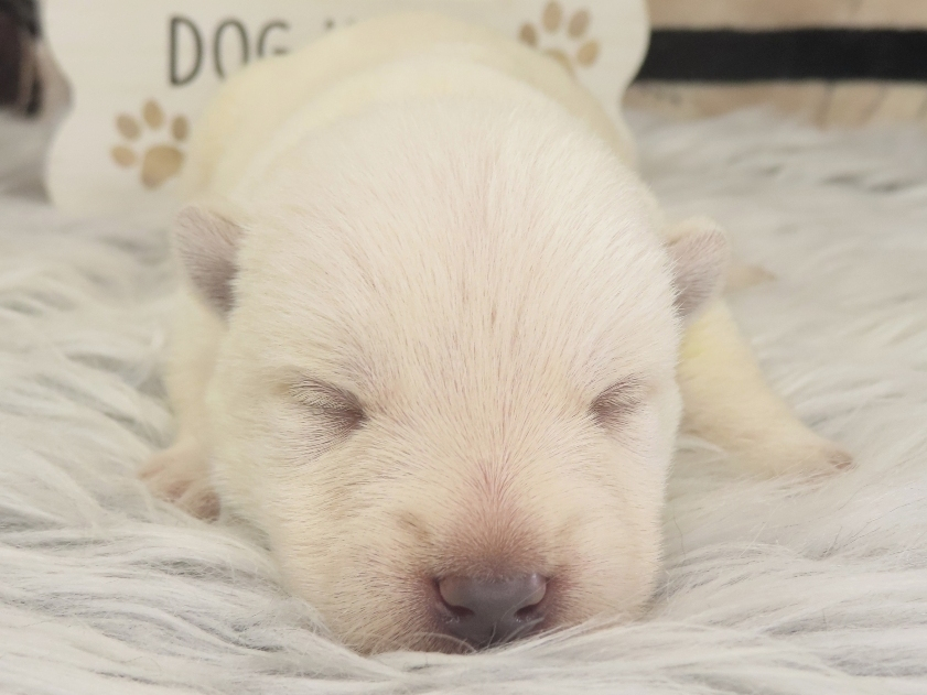 Phil 1wk 1