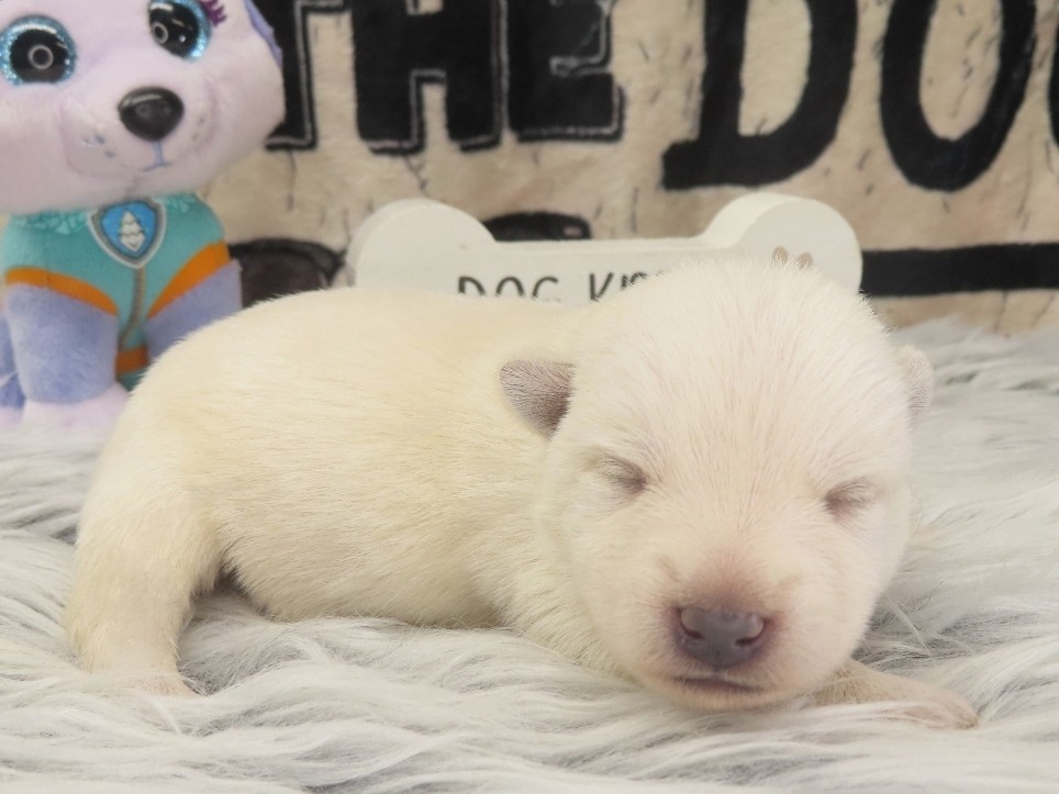 Phil 1wk 3