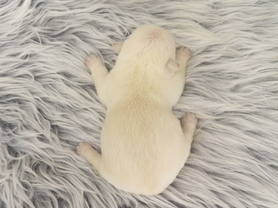 Phil 1wk 5