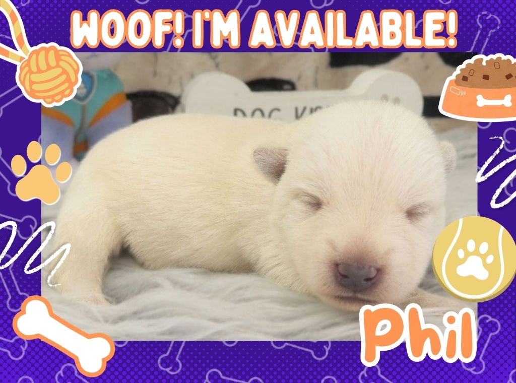 Phil 1wk ft