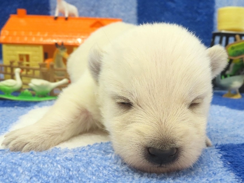 Phil 2wk 1
