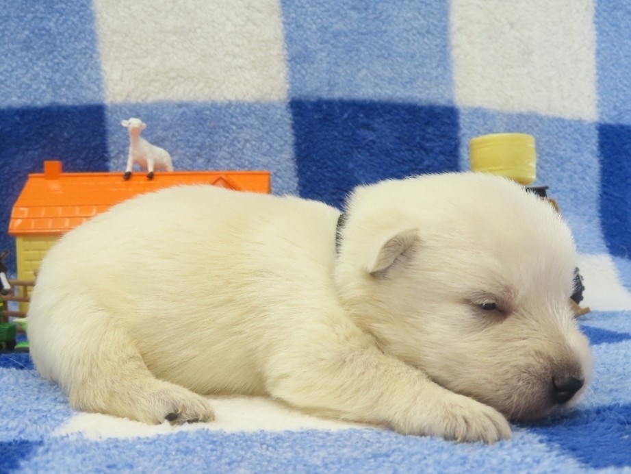 Phil 2wk 3