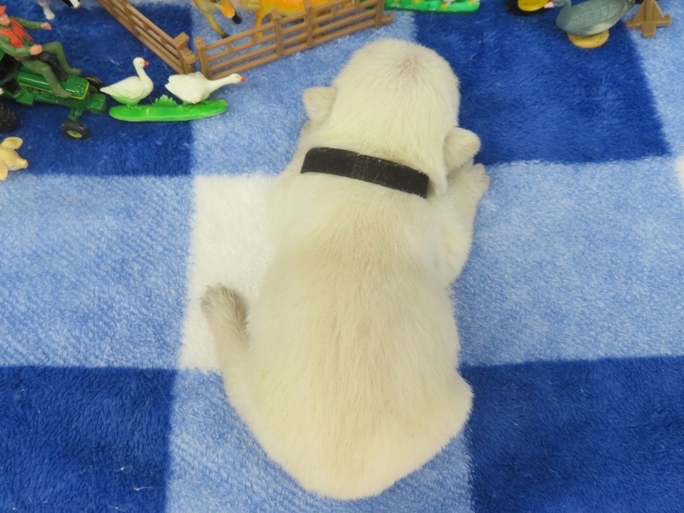 Phil 2wk 5